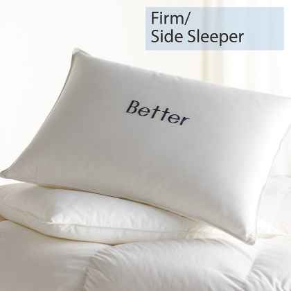 Company store outlet down pillows