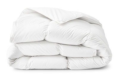 Comforters Gift Comforters from The Company Store