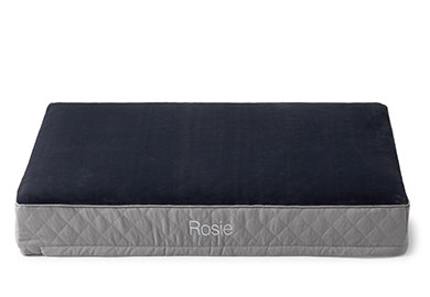 Shop Our Pet Bedding at The Company Store Shop Pet Bedding at The Company Store