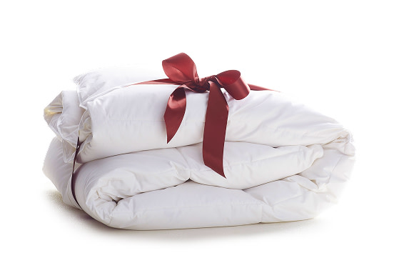 Gift Comforters from The Company Store