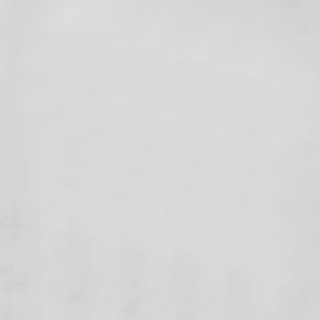 Gray Mist