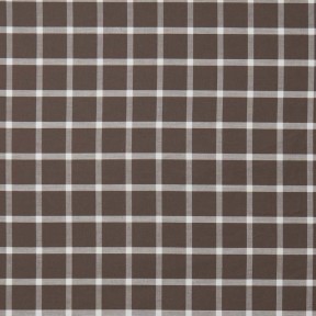Windowpane Brown