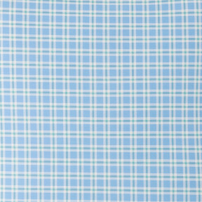 Plaid Blue Green