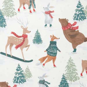 Winter Skiing Animals