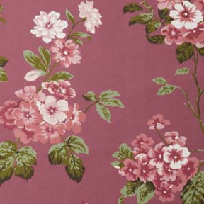 Rose Multi