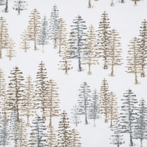 Evening Forest