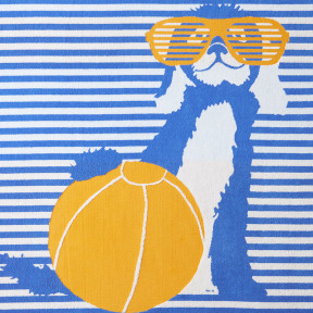 Beach Ball