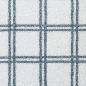 Windowpane