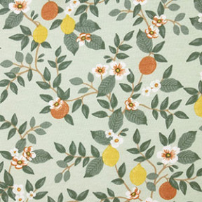 Citrus Grove