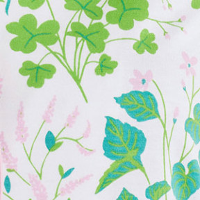 Spring Blooms