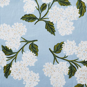 Hydrangea