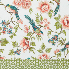 Spring Birds