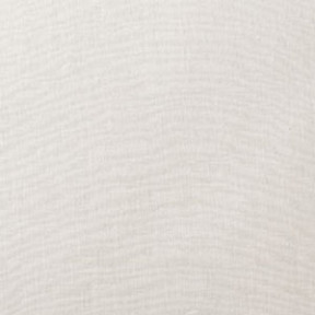 Parchment