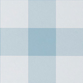 Ditsy Gingham Blue