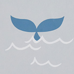 Whale School Gray