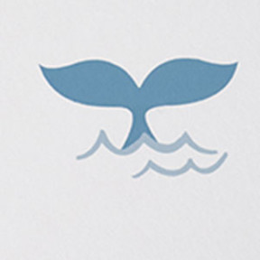 Whale School White