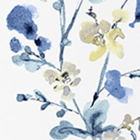Emily White/Blue