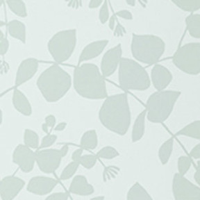Leaf Willow Green