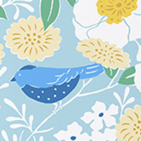 Blue Bird
