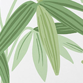 Palm