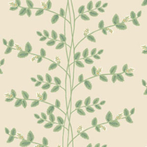 Linen