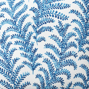 Fern