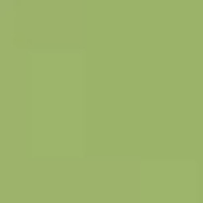 Ginkgo