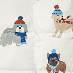 Dogs in Winter