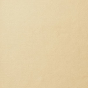 Cornsilk