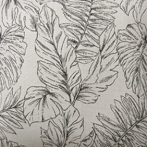 Calm Graphite