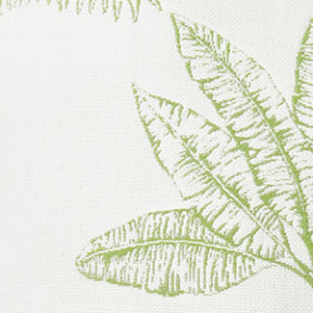 Palm Ginkgo