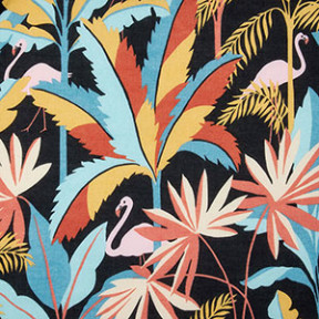 Flamingo Palm