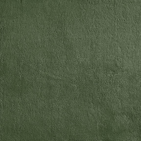 Marsh Green