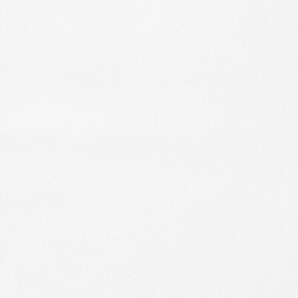 Luxe Ultra-Cozy Cotton Velvet Flannel Sham White, Standard,White
