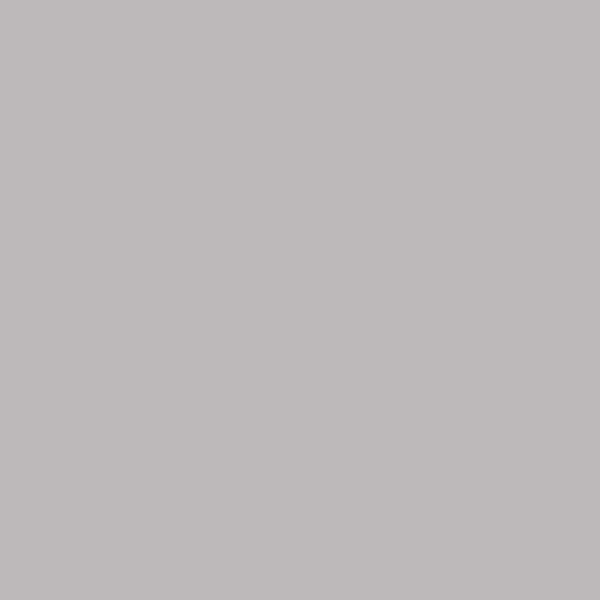 Classic Smooth Sateen Sham - Platinum, King,Platinum