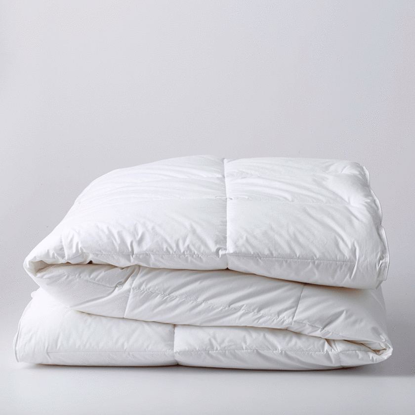 Classic Down Alternative Comforter, Twin, White,White