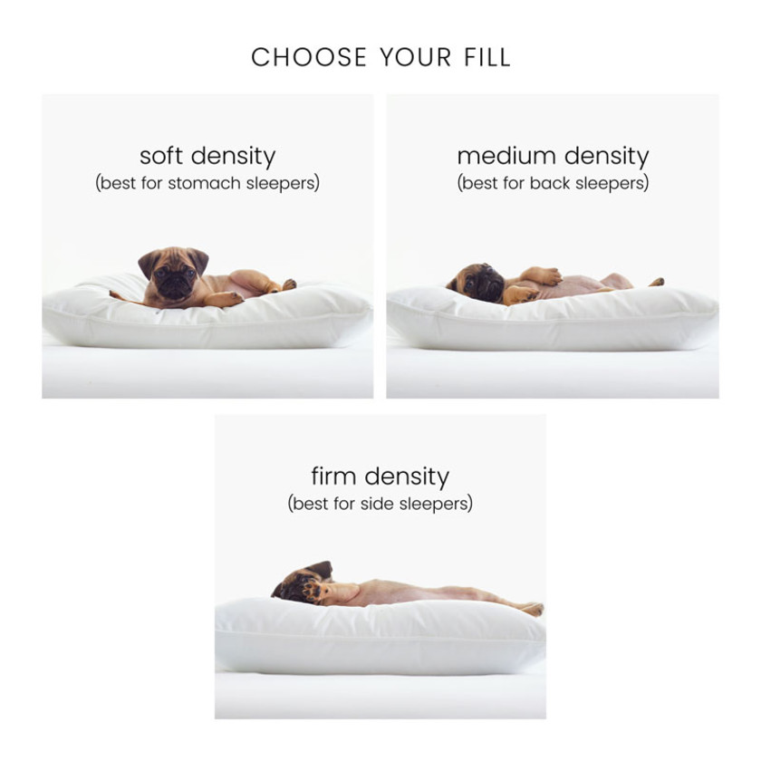 Royal Down Pillow - Soft, Standard