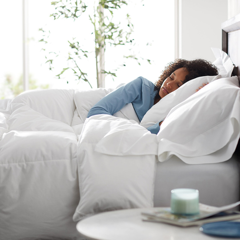 Luxe Olympia Down Light Warmth Comforter - White, Twin/Twin XL,