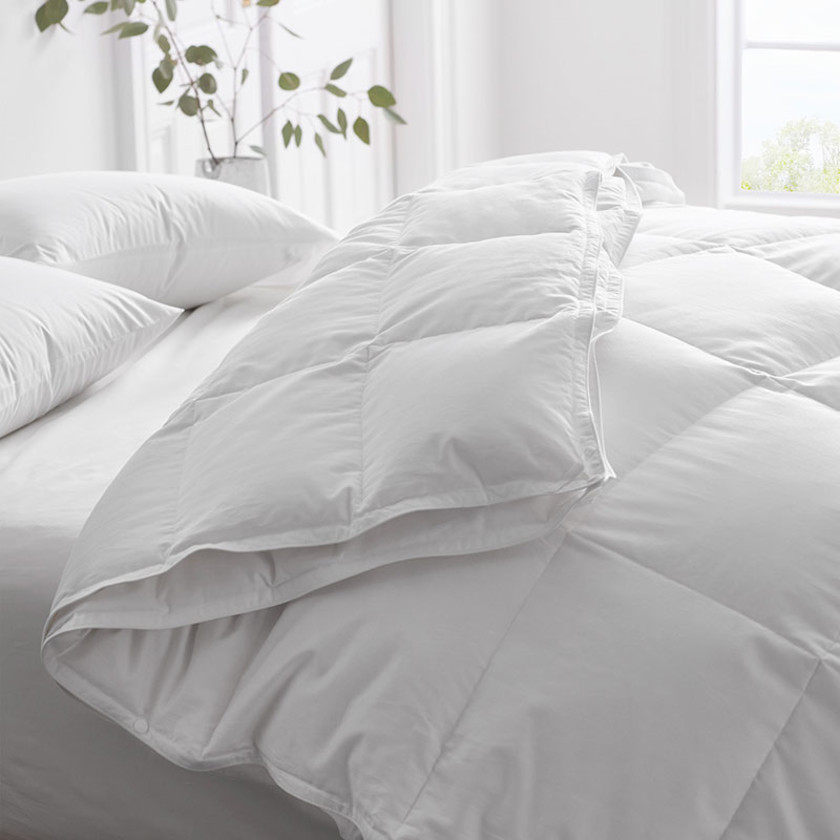 Premium 3-in-1 Down Comforter - White, Full,White
