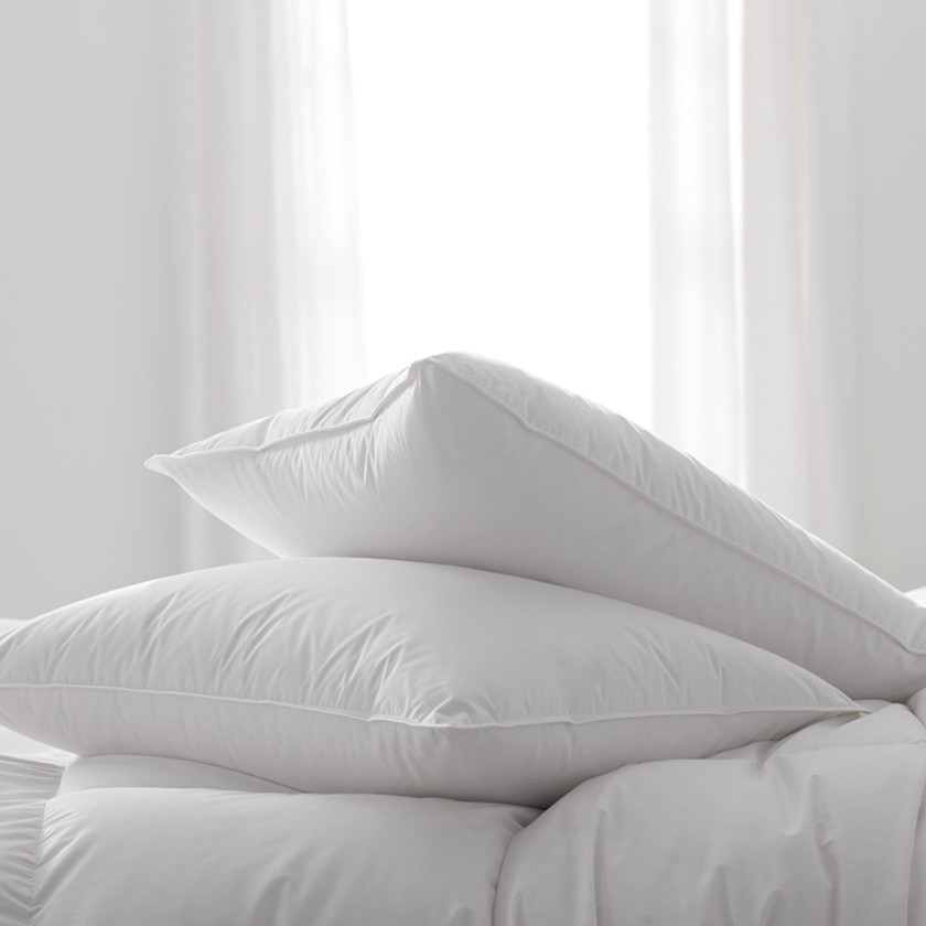 Imperial German Batiste Pillow and Protector Set - White,White