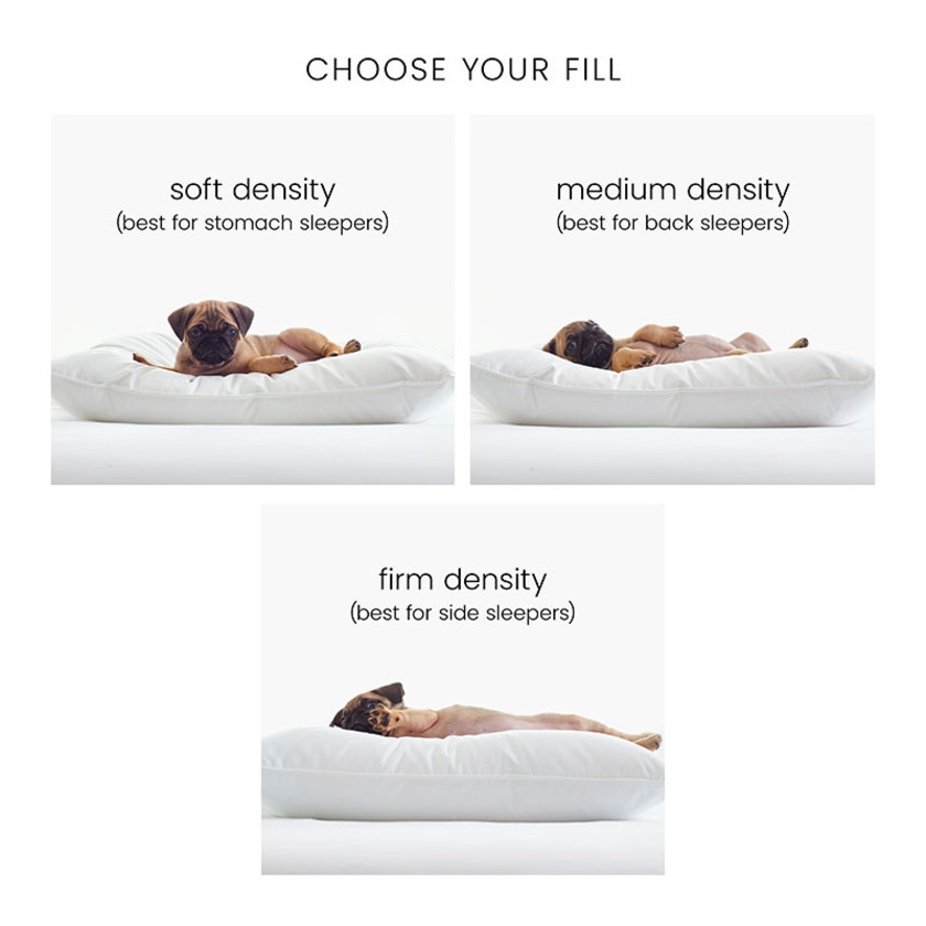 Down & Feather Pillow - Soft, Standard,White