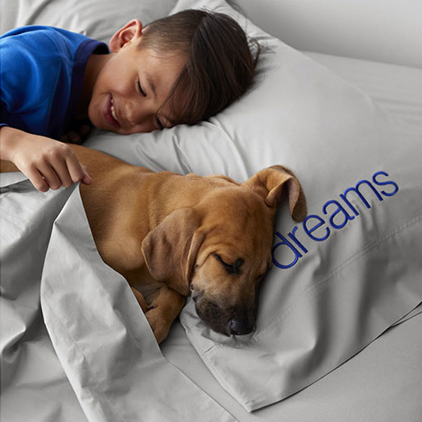 Classic Cool Organic Cotton Percale Solid Bed Sheet Set - White, Twin XL,White