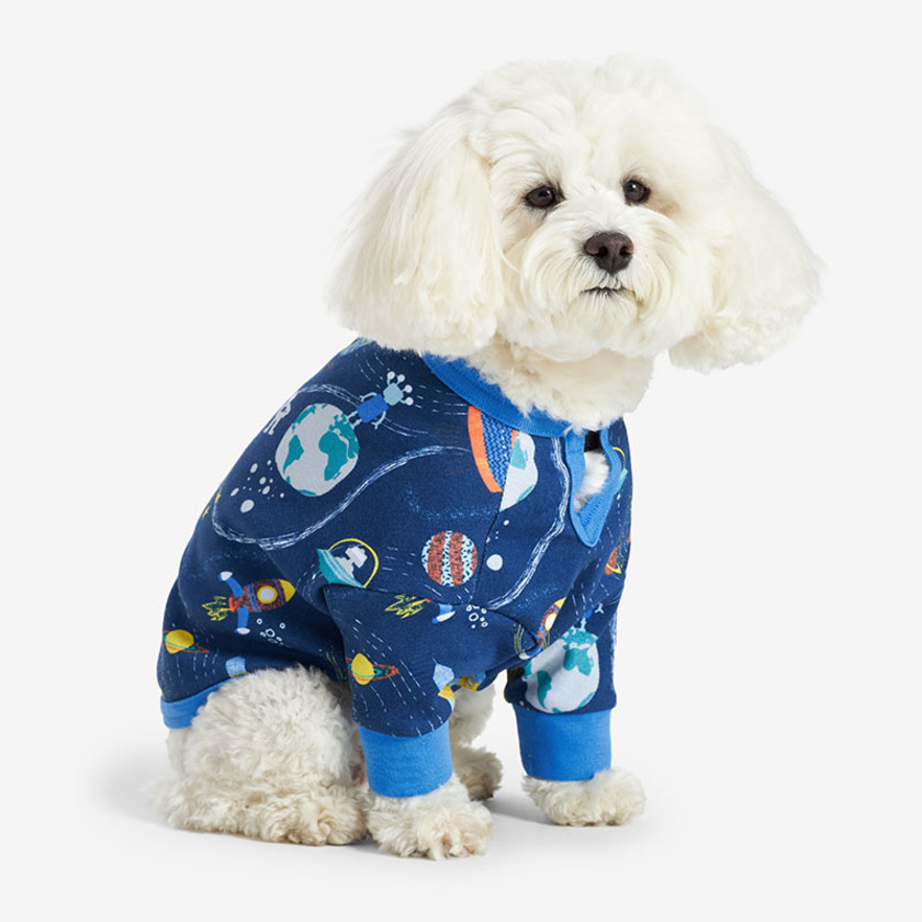 The company store dog pajamas new arrivals