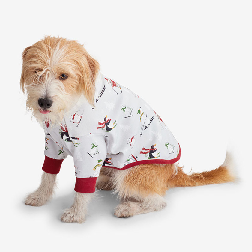 The company store dog pajamas new arrivals