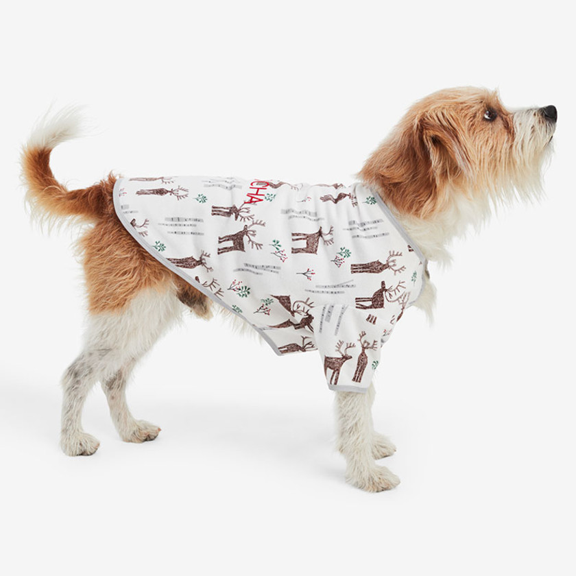 Pet Apparel The Company Store