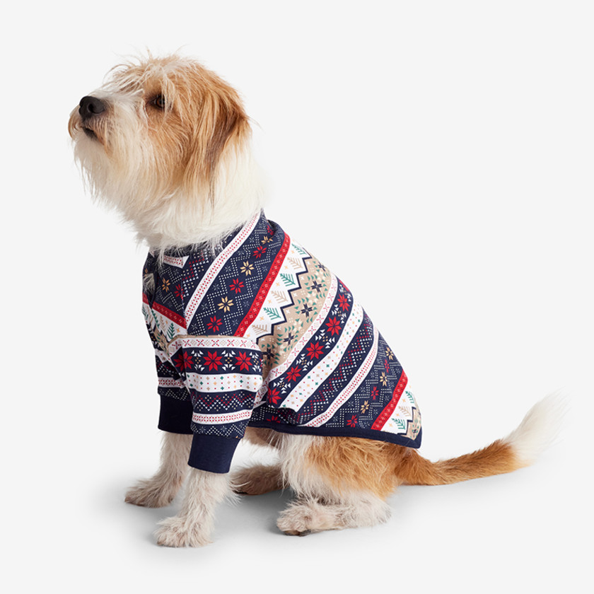 Organic Cotton Matching Family Dog Pajamas The Company Store