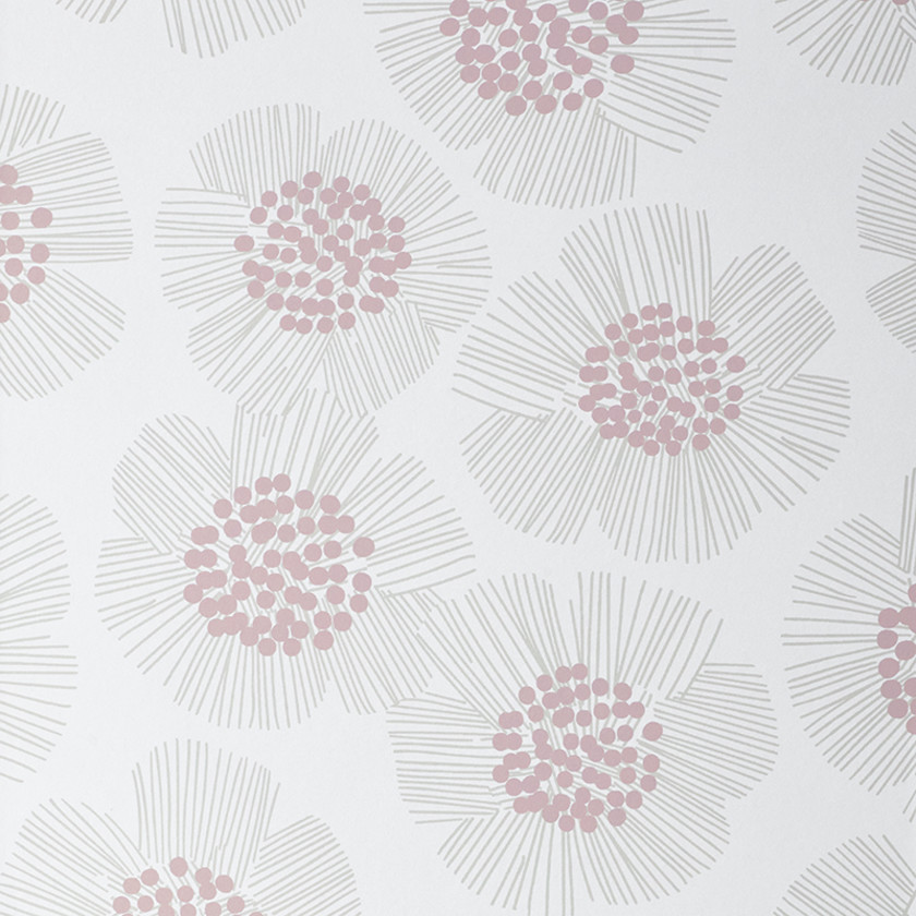 Flower Burst Wallpaper