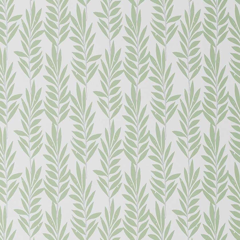 Vine Wallpaper