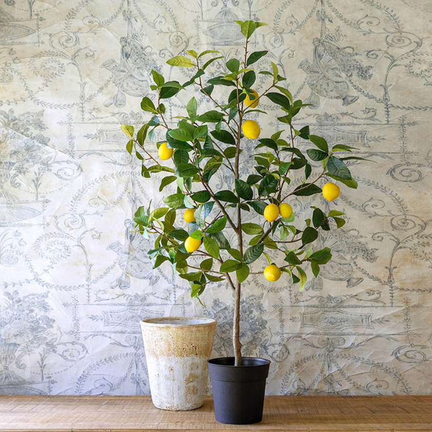 Faux Lemon Tree,Green