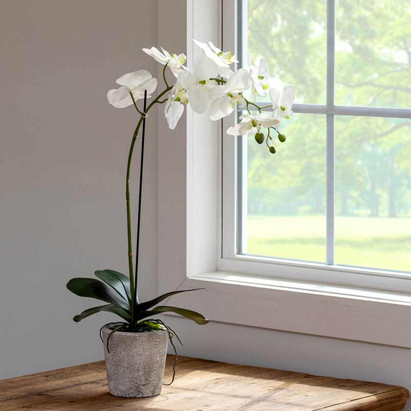Faux Orchid Plant in Decorative Pot,White